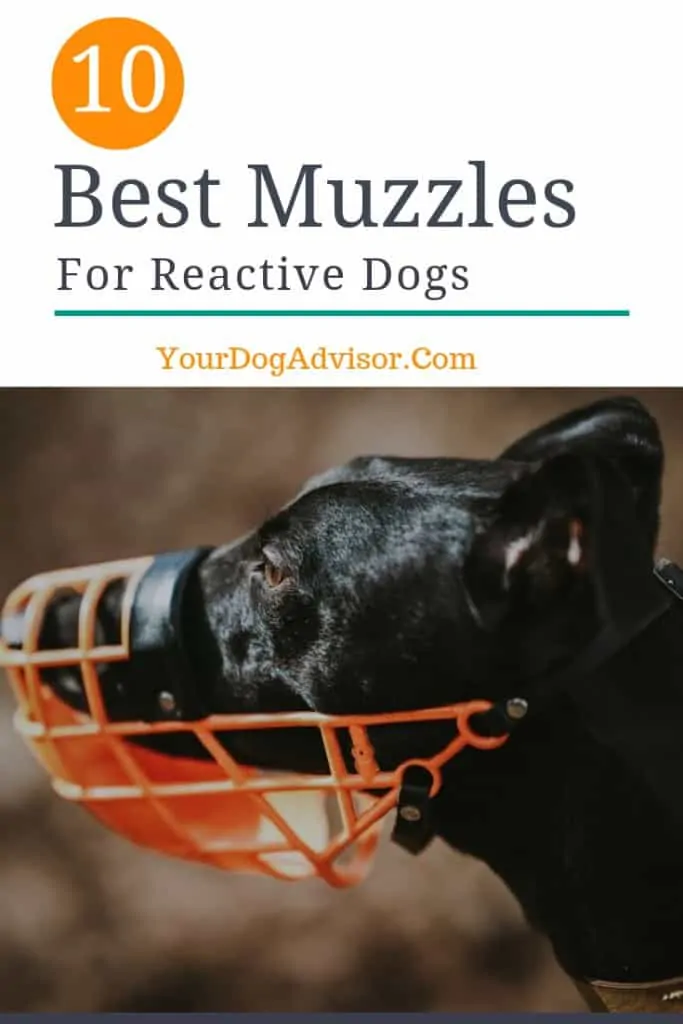 10 Best Muzzles For Reactive Dogs 5