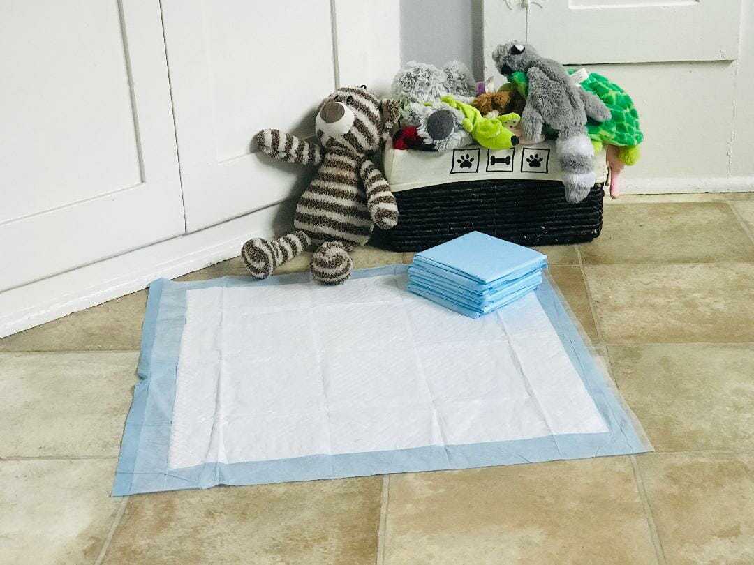 10 Best Dog Potty Pads Your Dog Advisor