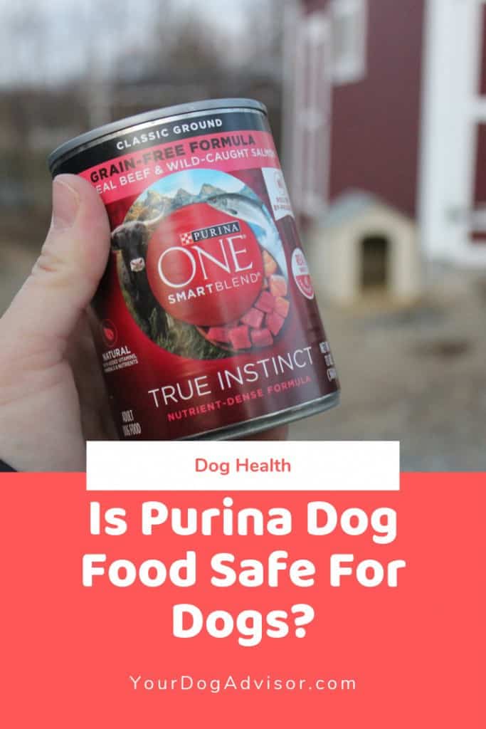 purina bad