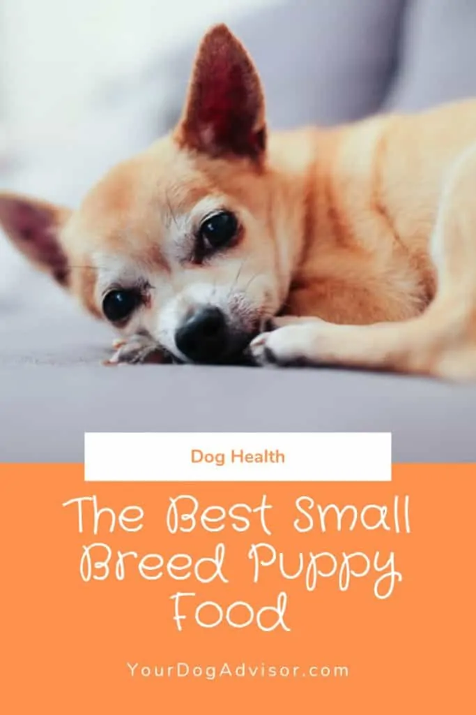 Best small breed outlet puppy food 2019