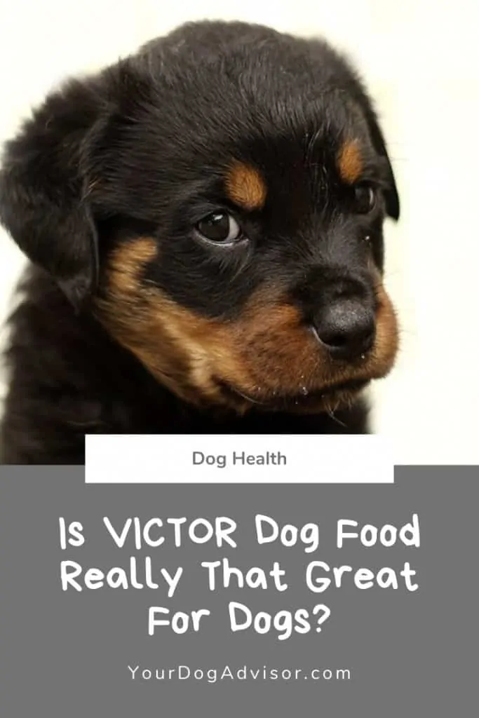 which victor dog food is best for weight gain