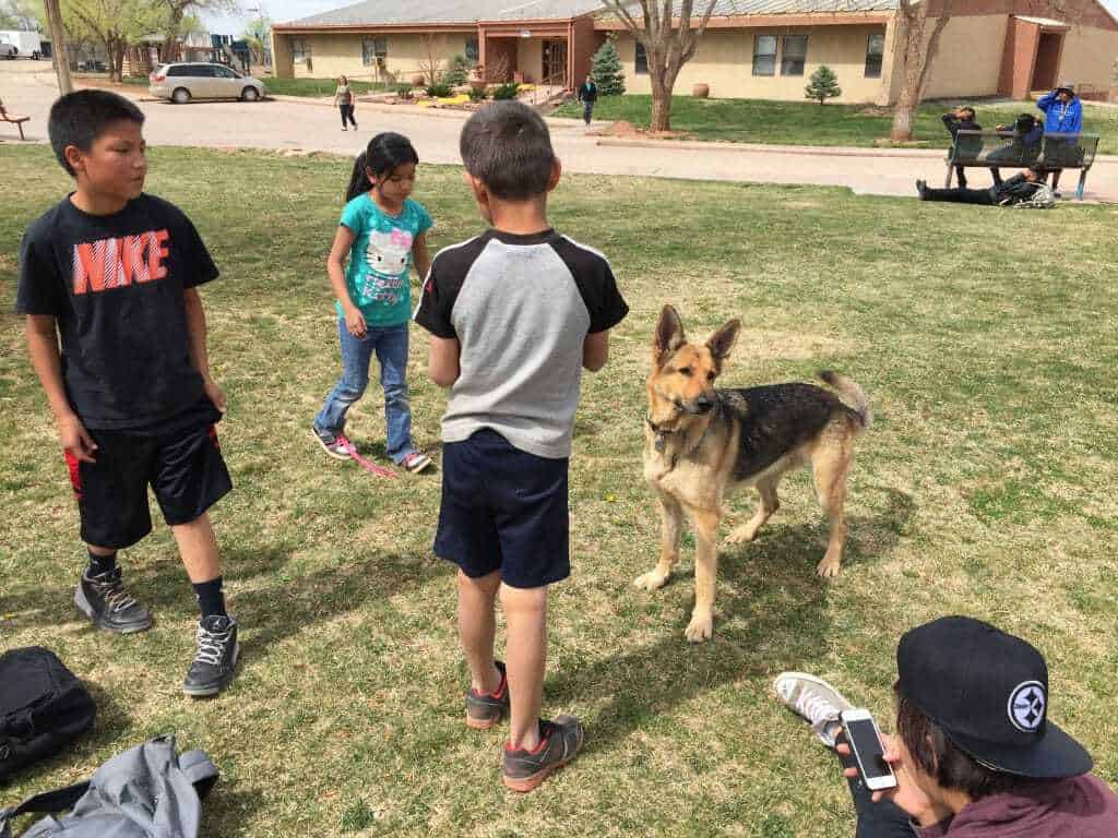 glucosamine for dogs near me