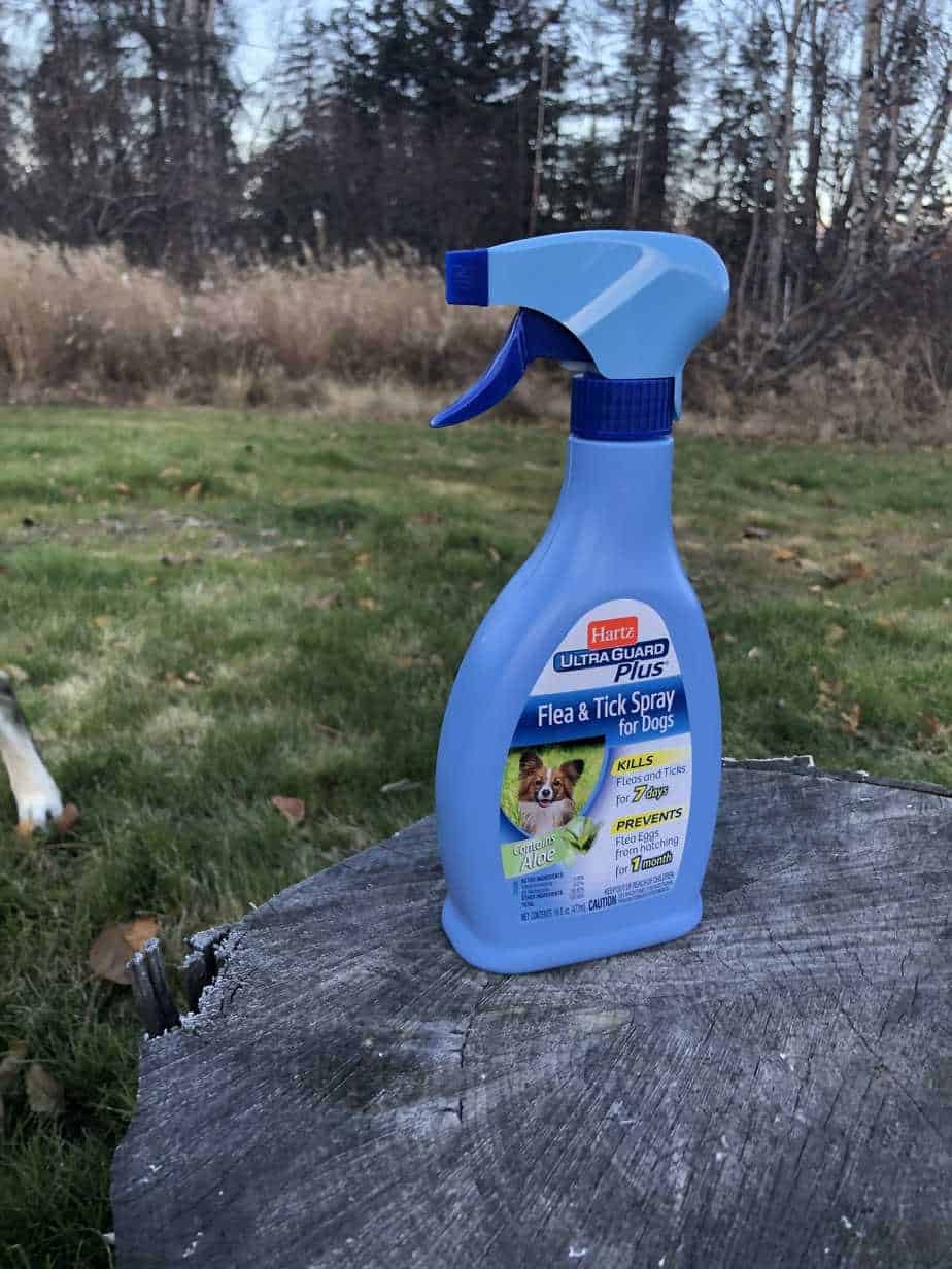 The Best Flea Treatment for Dogs Your Dog Advisor