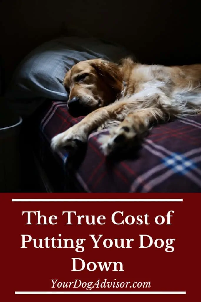 Cost of putting dog hot sale down