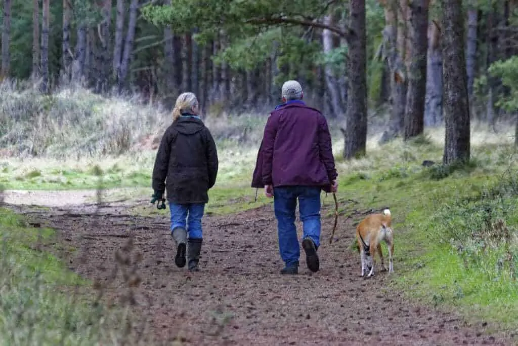 How Much Does It Cost to Put a Dog Down? 11