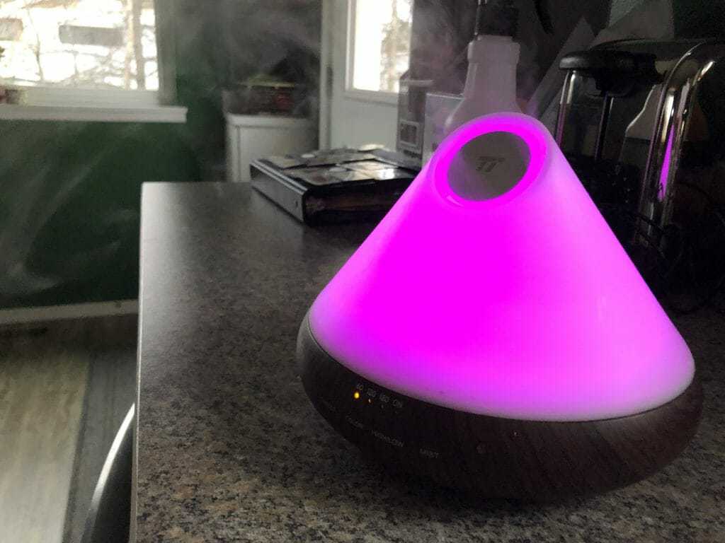 Is Lavender Oil Safe for Dogs? (Plus Our Favorite Lavender Oil Products