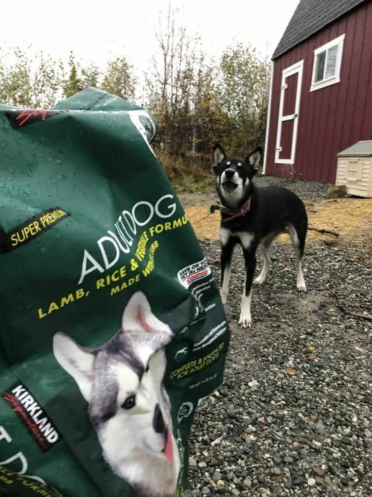 Is Kirkland Dog Food Safe for Dogs? 4