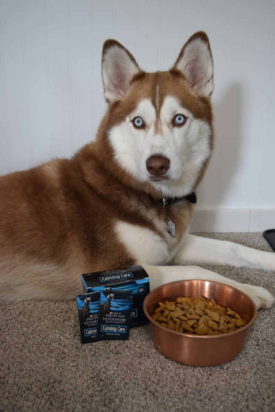 Purina Pro Plan Calming Care Review Your Dog Advisor