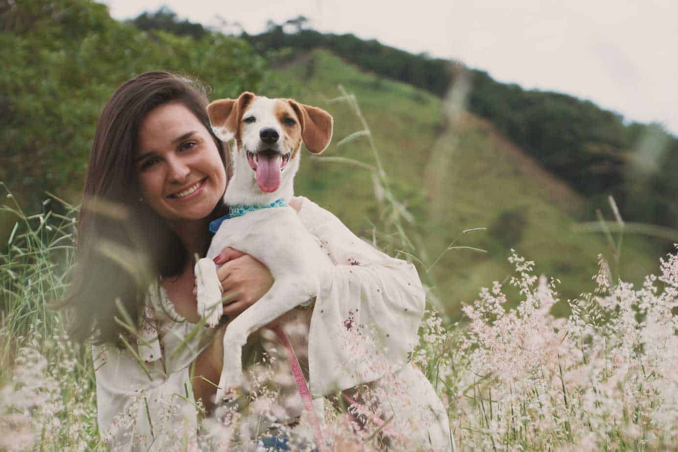 How Much Does It Cost to Put Down a Dog Your Dog Advisor