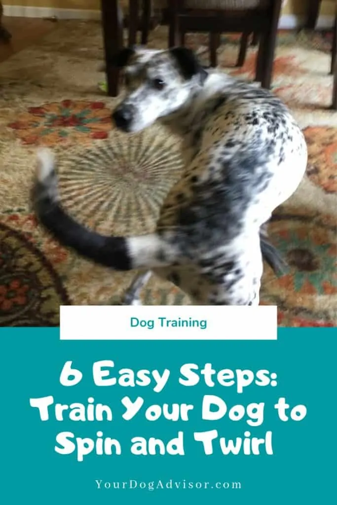 How to Train Your Dog to Spin and Twirl 11