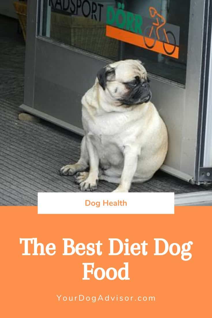 The Best Diet Dog Food Your Dog Advisor