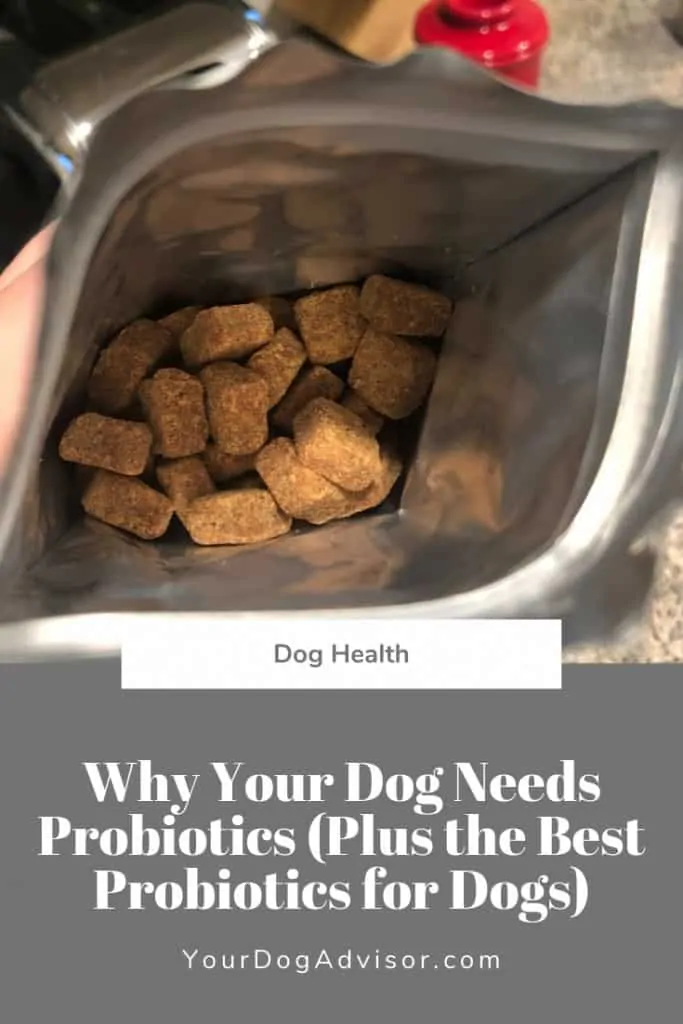 Best Dog Probiotics - and Why Your Dog Needs Them 6