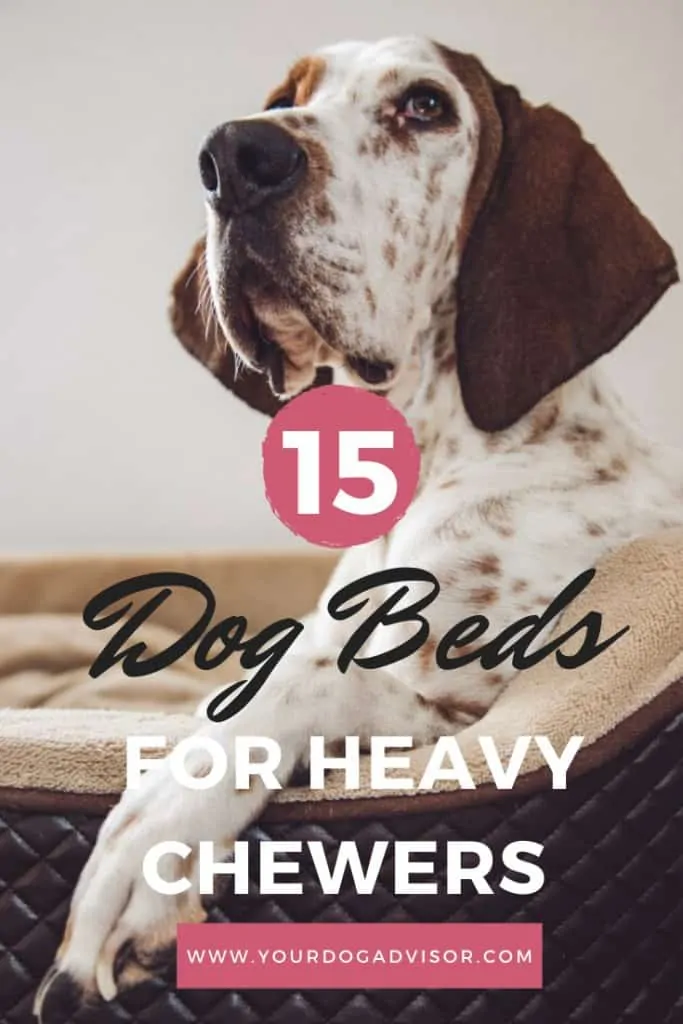 The Best Dog Beds For Heavy Chewers 5