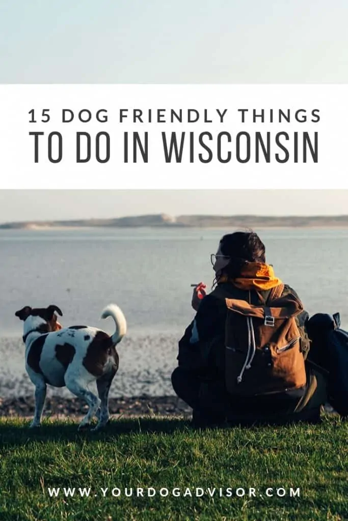 15 Dog Friendly Things to Do in Wisconsin 18