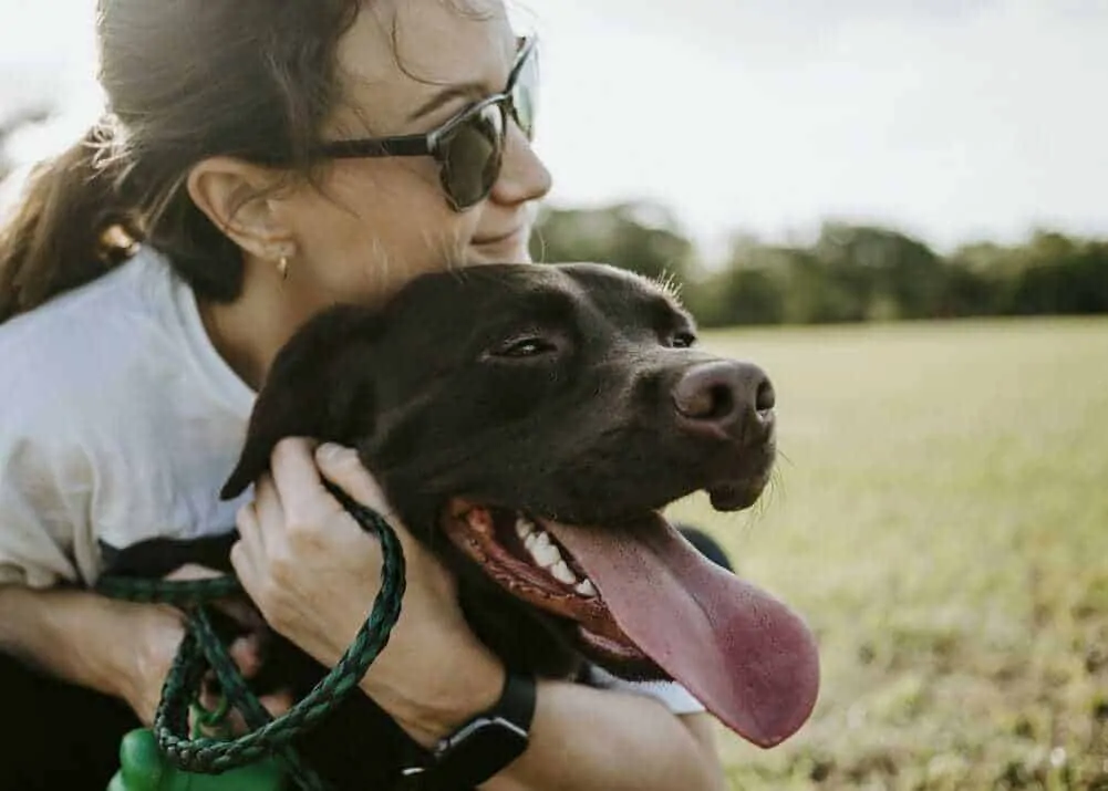 15 Things You Should Know About The Black Lab 6