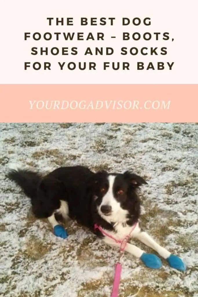 The Best Dog Footwear - Boots, Shoes and Socks for Your Fur Baby 4