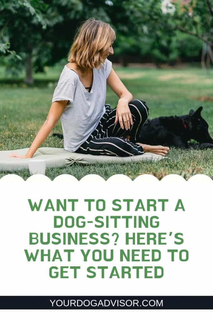 want-to-start-a-dog-sitting-business-here-s-what-you-need-to-get