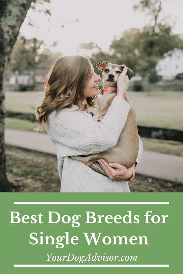Best Dog for Single Women Your Dog Advisor
