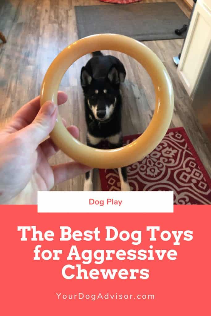 The Best Dog Toys for Aggressive Chewers Your Dog Advisor