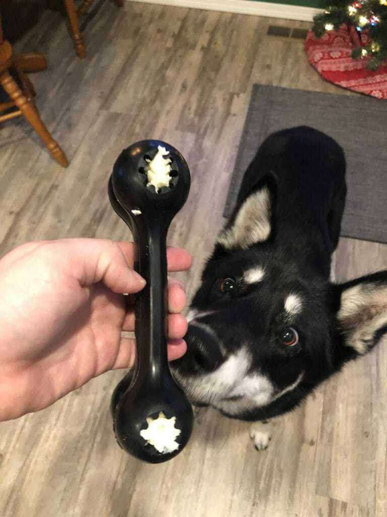 The Best Dog Toys for Aggressive Chewers 3 The Best Dog Toys for Aggressive Chewers 3