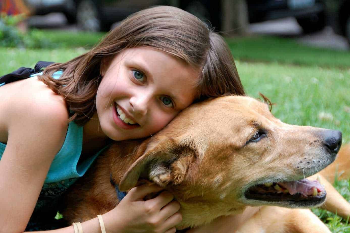 15 Best Dogs for Children Your Dog Advisor