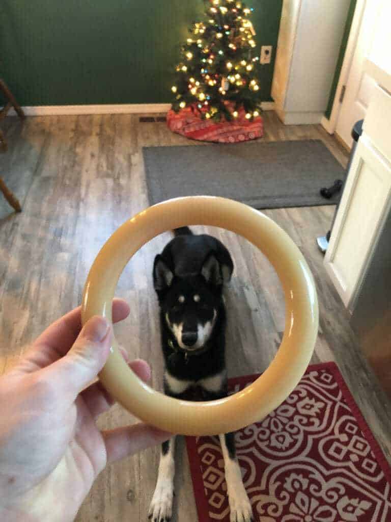 The Best Dog Toys for Aggressive Chewers 5 The Best Dog Toys for Aggressive Chewers 5