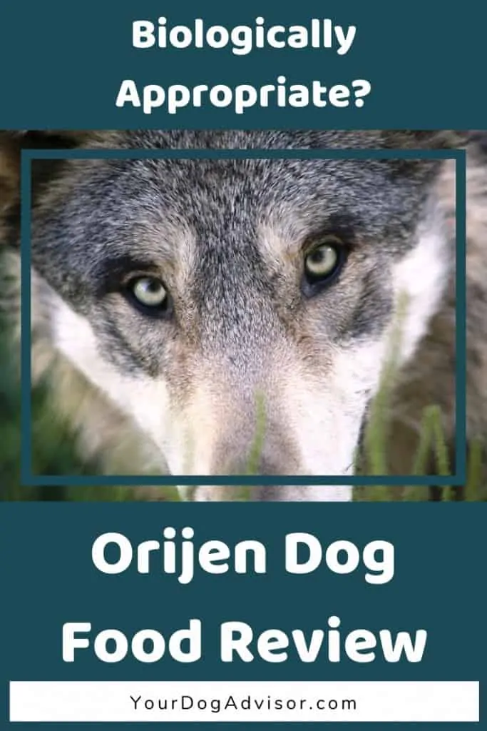 Orijen Dog Food 