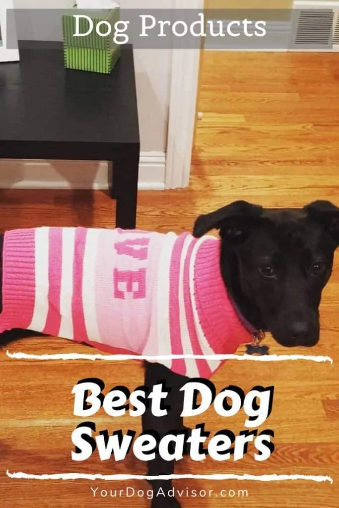 Best Dog Sweater 2