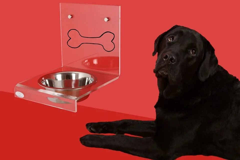 Best Dog Feeding Station 1