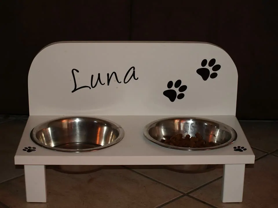 Best Dog Feeding Station 3