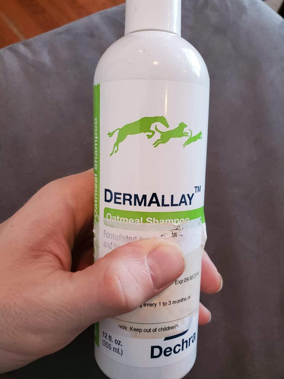 Best Dog Itching Remedies Your Dog Advisor