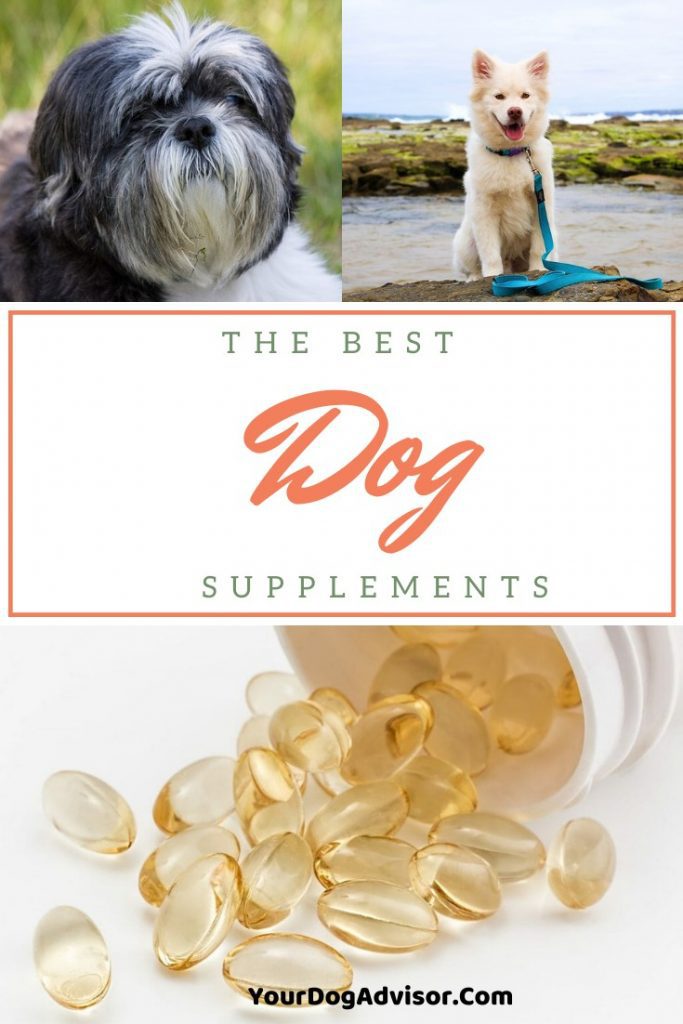 The Best Dog Supplements to Augment a Homemade Diet Your Dog Advisor