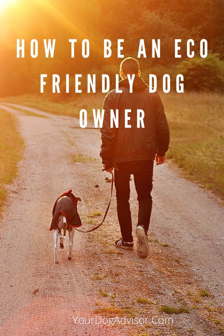 How to be an Eco Friendly Dog Owner Your Dog Advisor