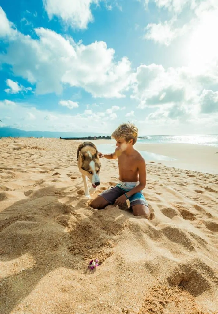 Pic 14 a labsky with a child on the beach