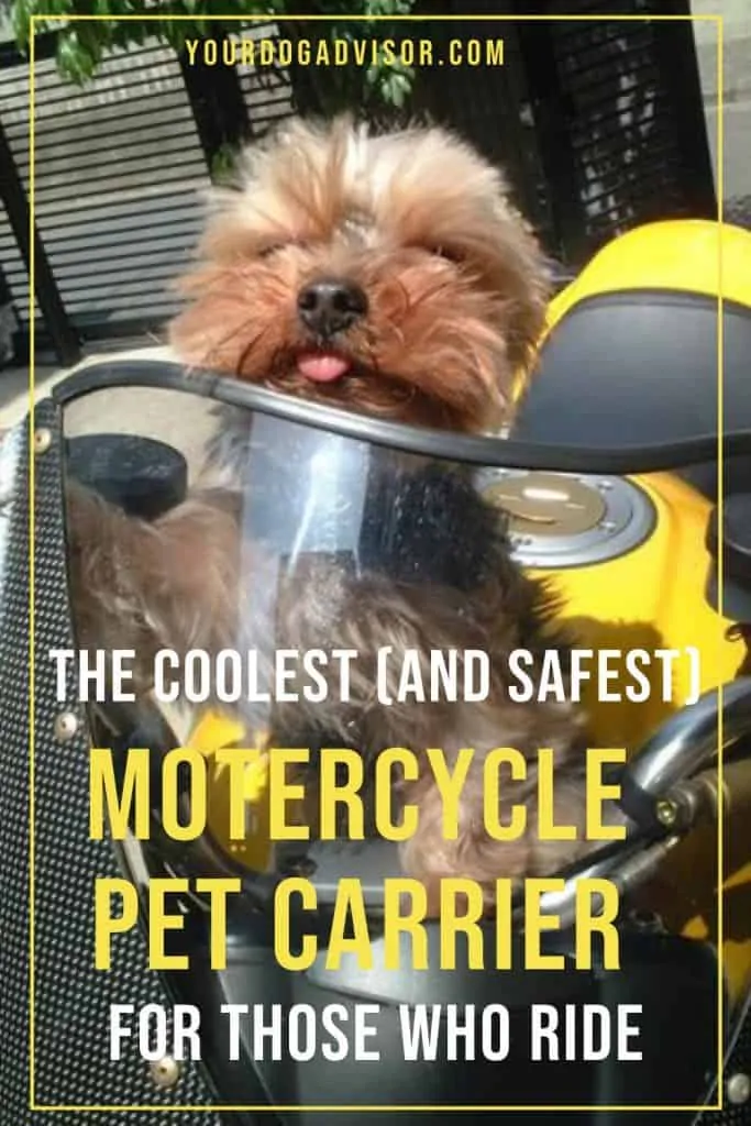 Motercycle pet carrier 2