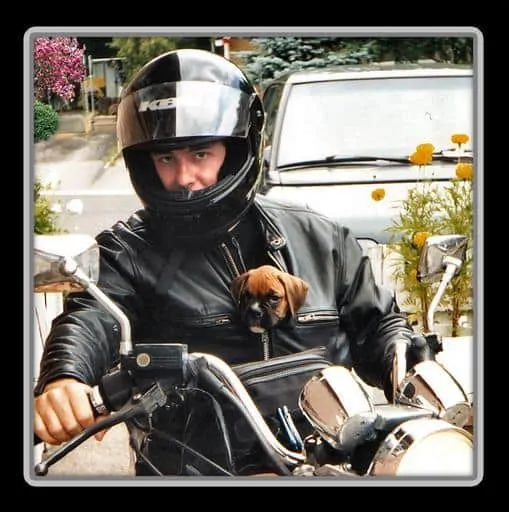 Best motorcycle pet outlet carrier