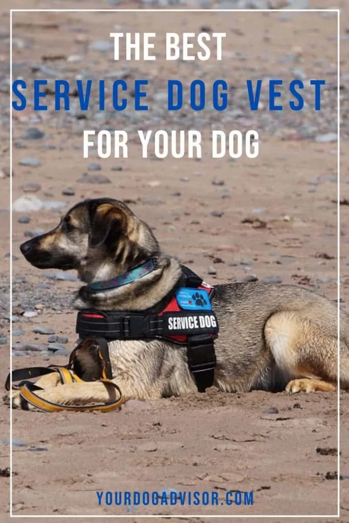 Service Dog Vest 2