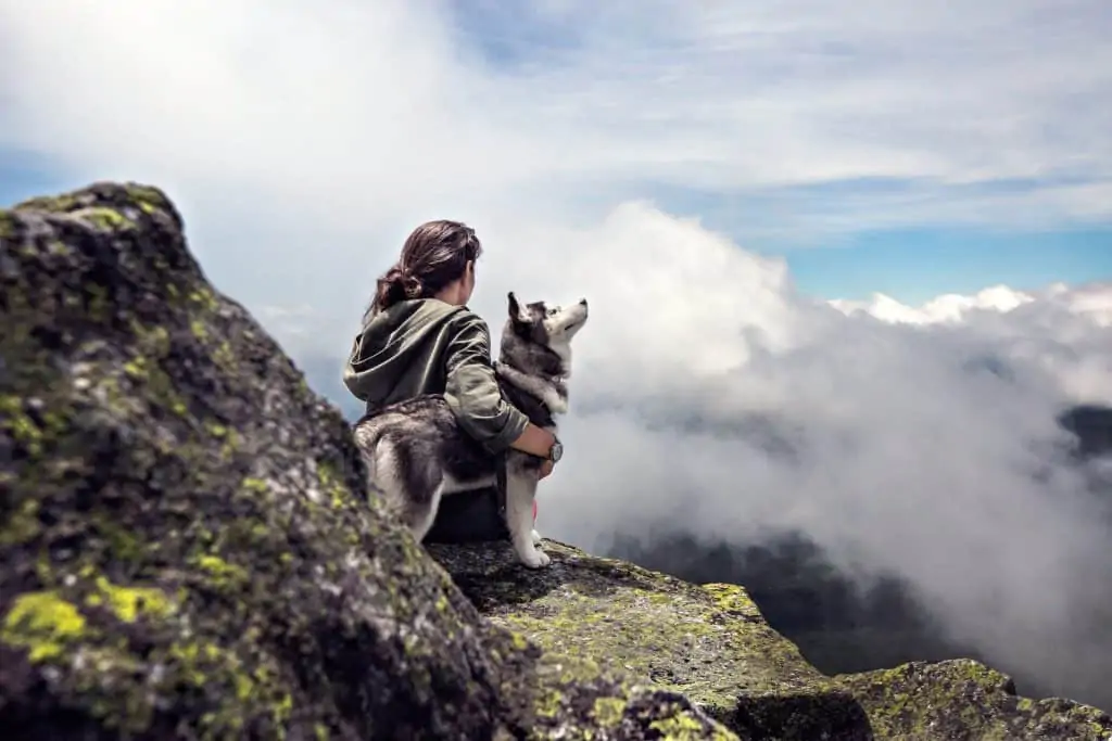 Pic 6 a mini husky with his owner on a mountain