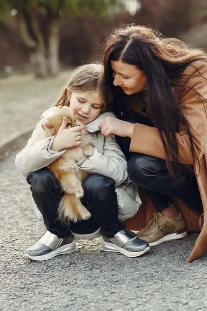 Pic 7 a pomeranian being held by a child