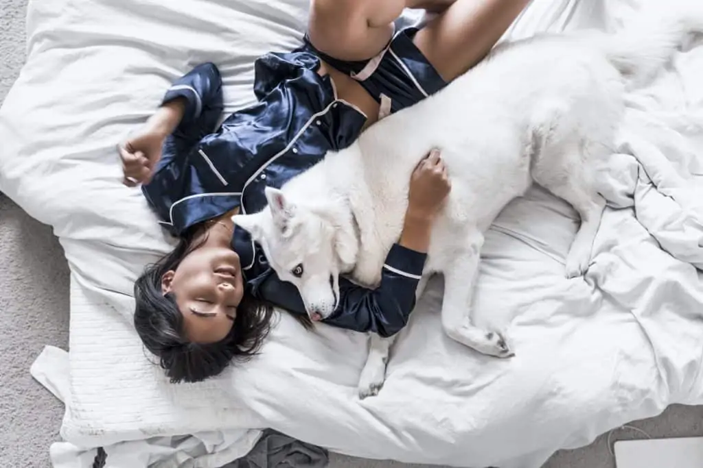 7 a white husky laying with a woman