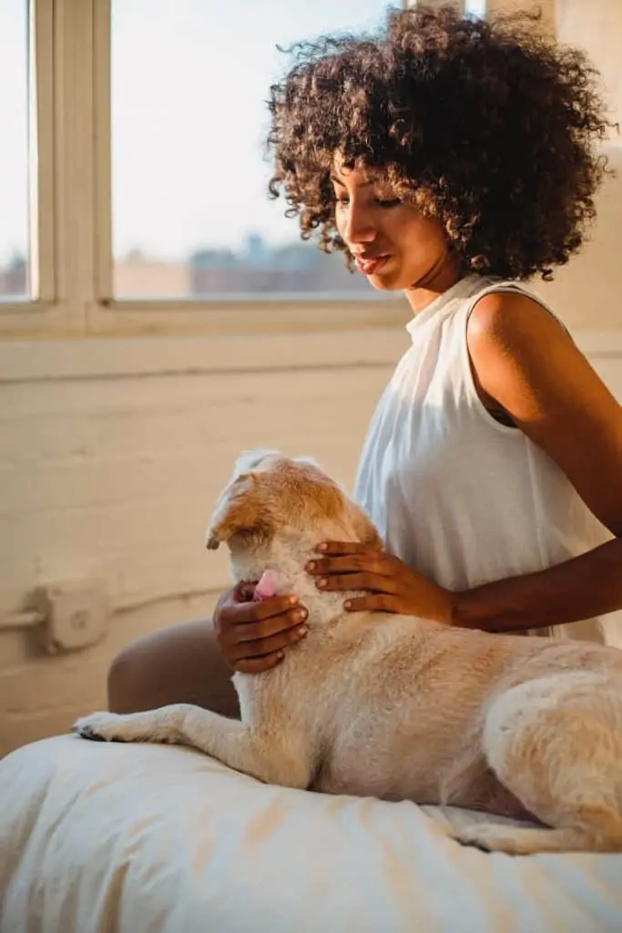 8 a woman sitting with a mini labrador