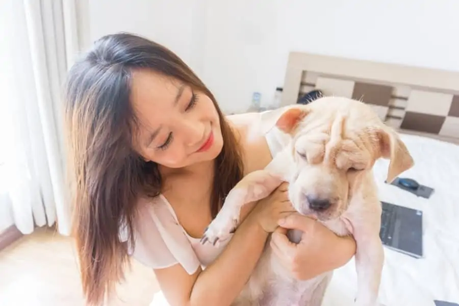 7 a woman holding a puppy