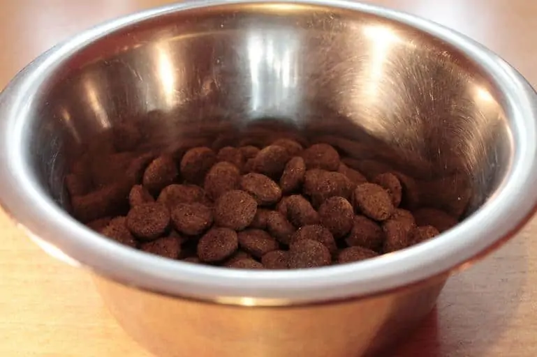 8 a bowl of dog food