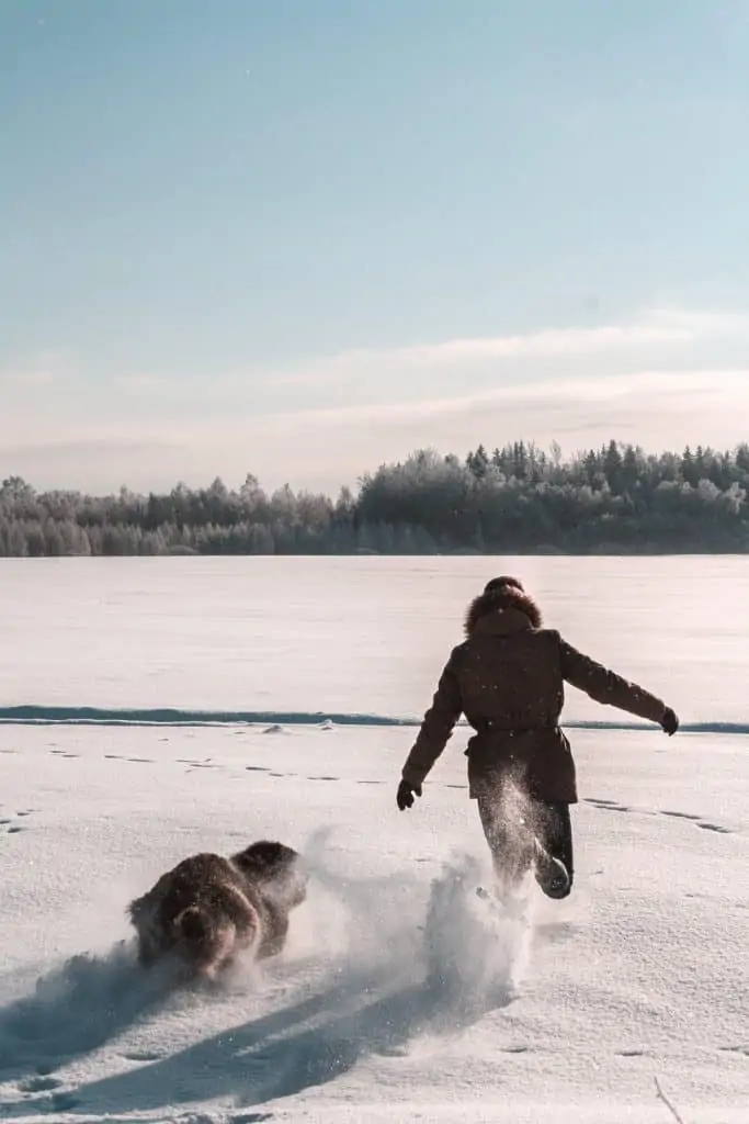 9 a woman running with her dog