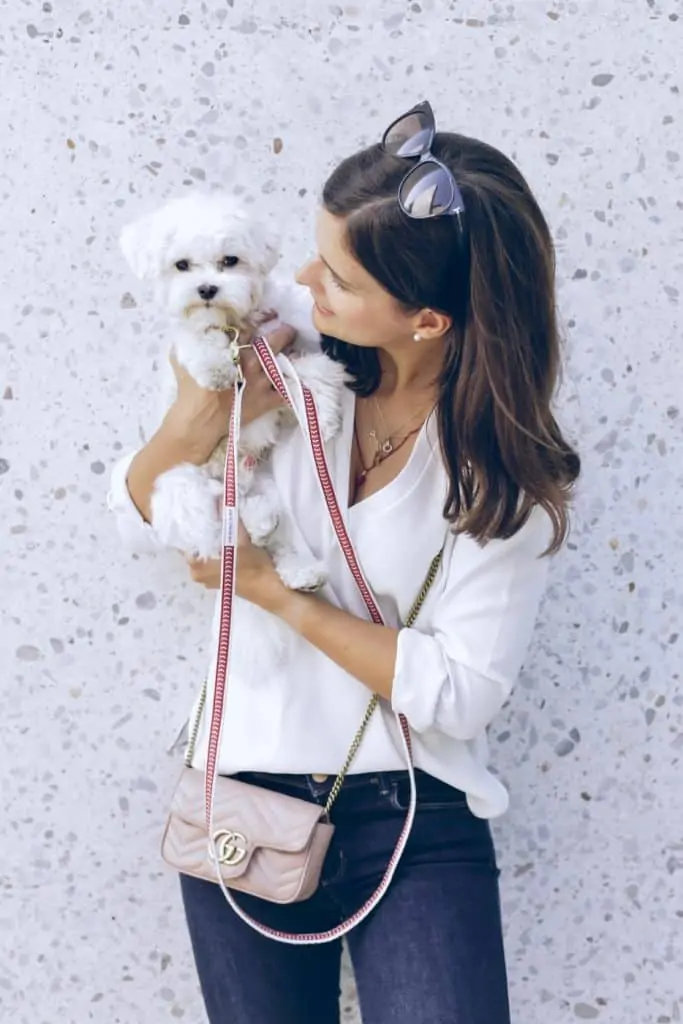 2 a woman holding. a teacup maltese