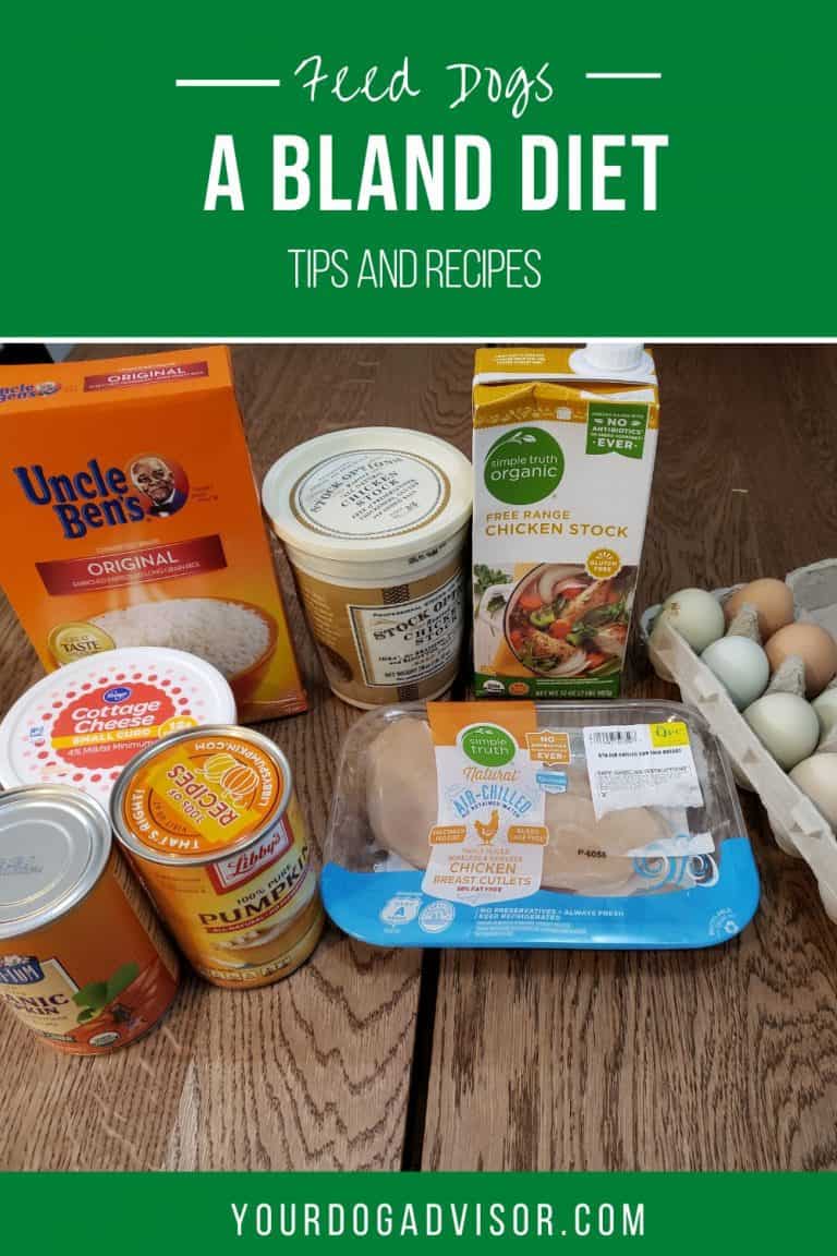 Bland Diet for Dogs with Diarrhea or Upset Stomach Your Dog Advisor