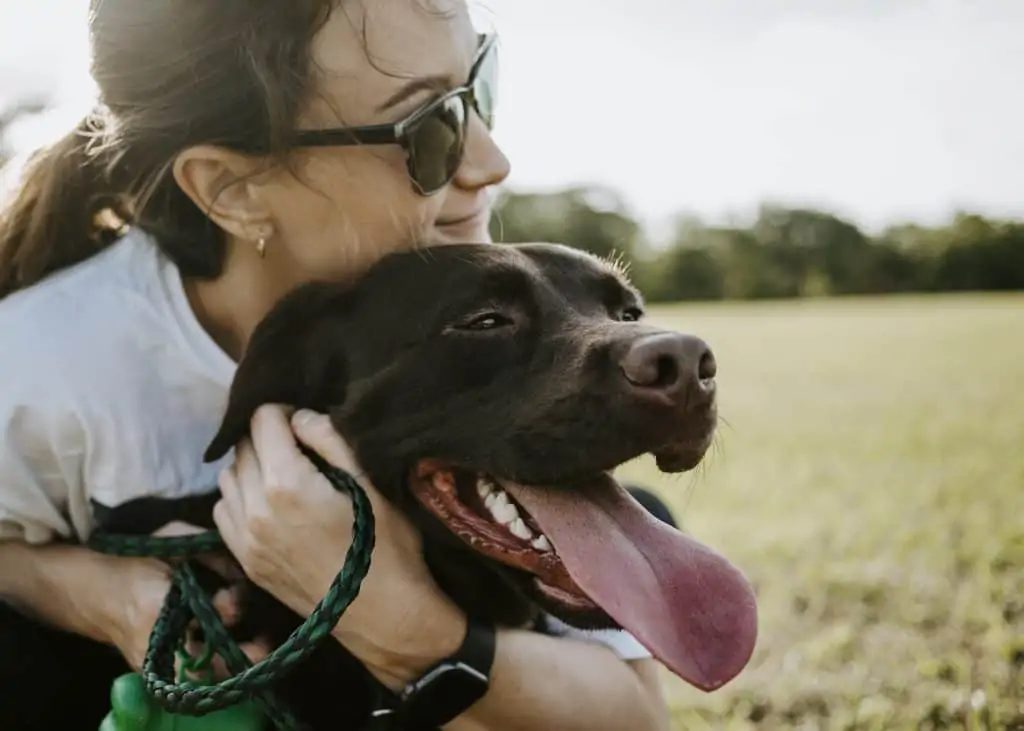 2 a woman hugging a chocolate lab