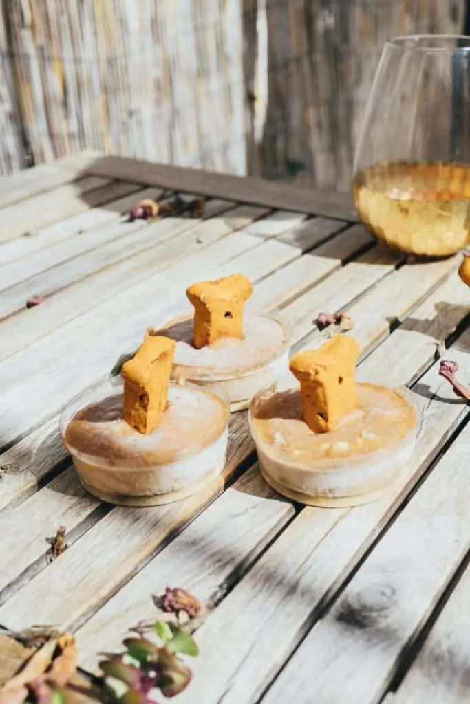 3 homemade dog treats