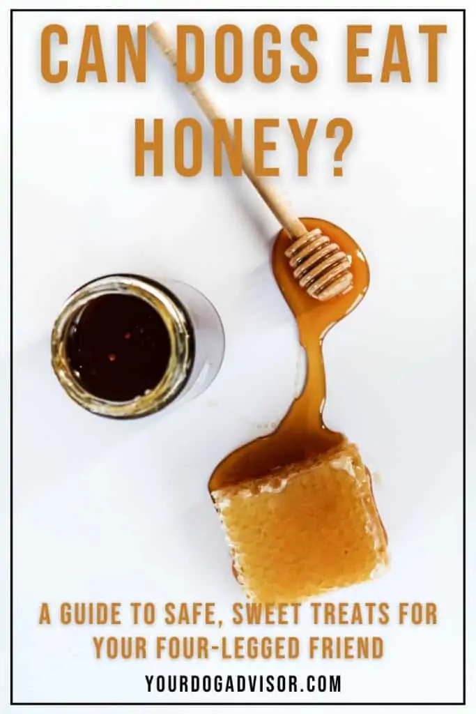 Can Dogs Eat Honey 1