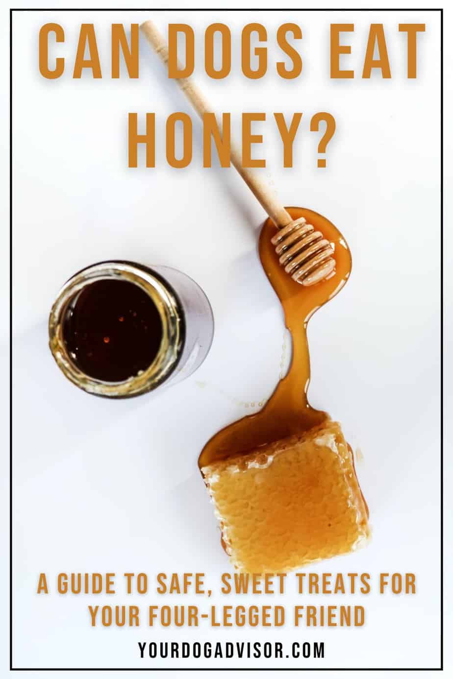 Can Dogs Eat Honey? A Guide To Safe, Sweet Treats For your Four-Legged ... - Can Dogs Eat Honey In Chocolate Chip Cookies